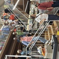 IMG_2659 IMG_2659